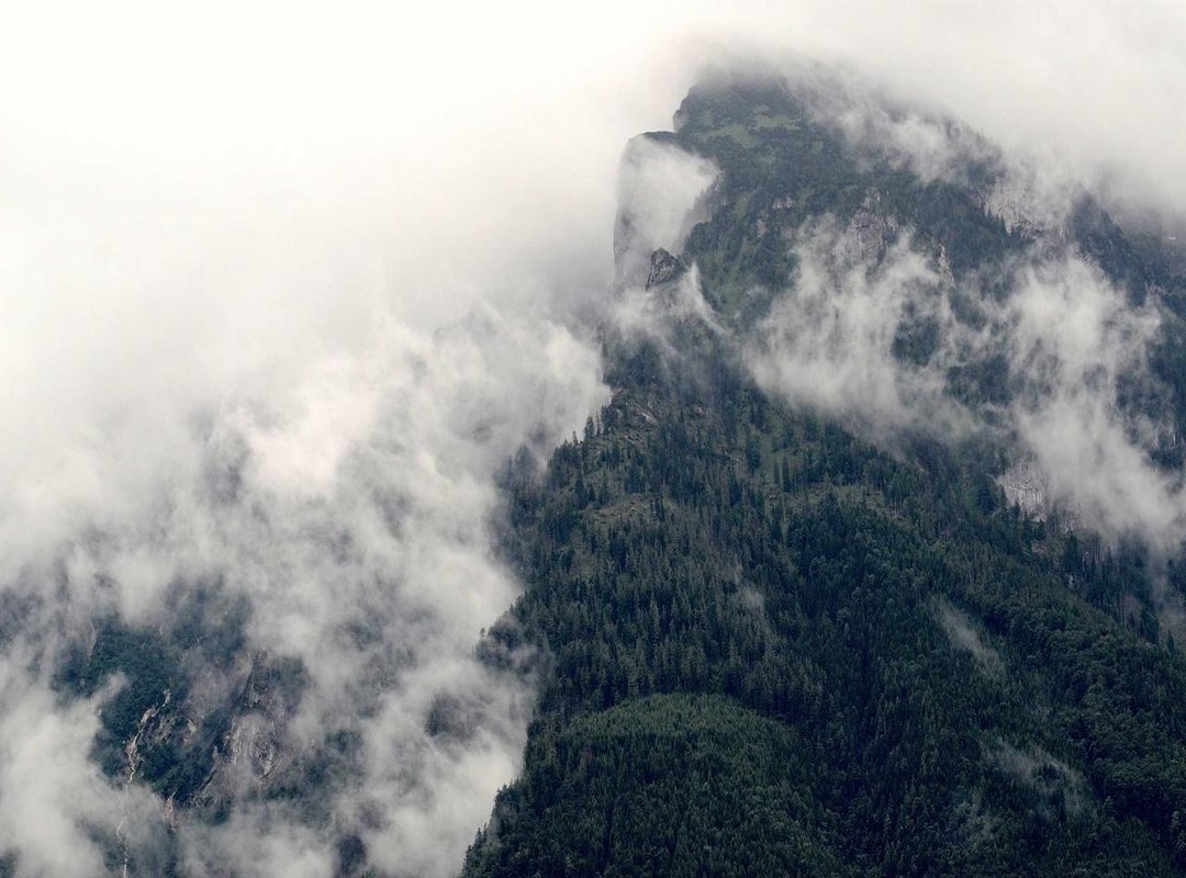 Red Flags: When to Immediately Walk Away from a Deal