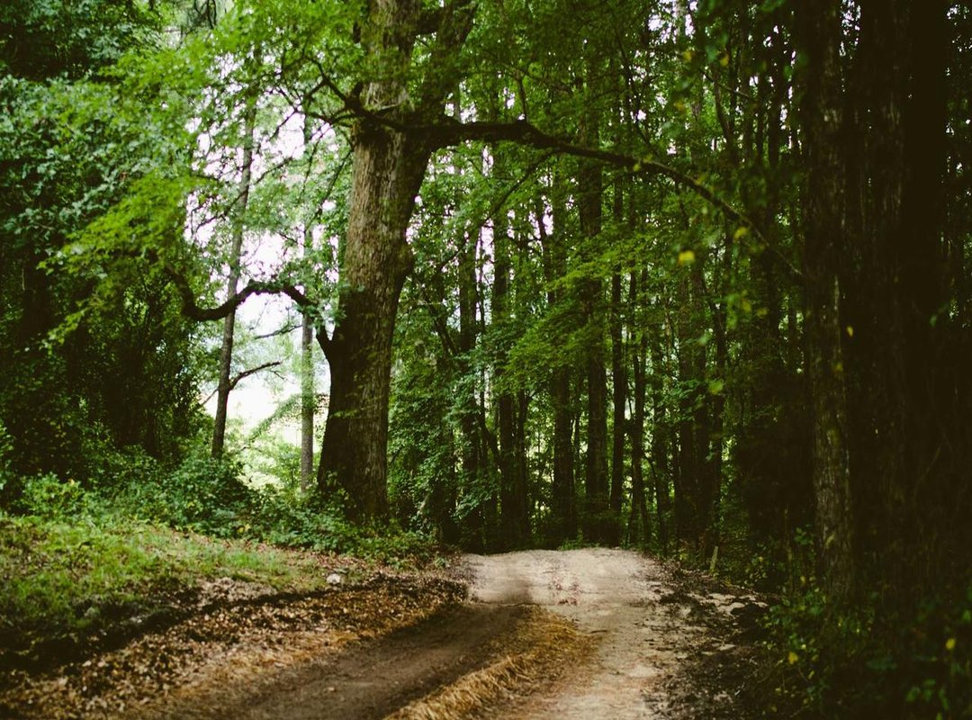 The Intersection: Why Fandoms Create Adult-Themed Content