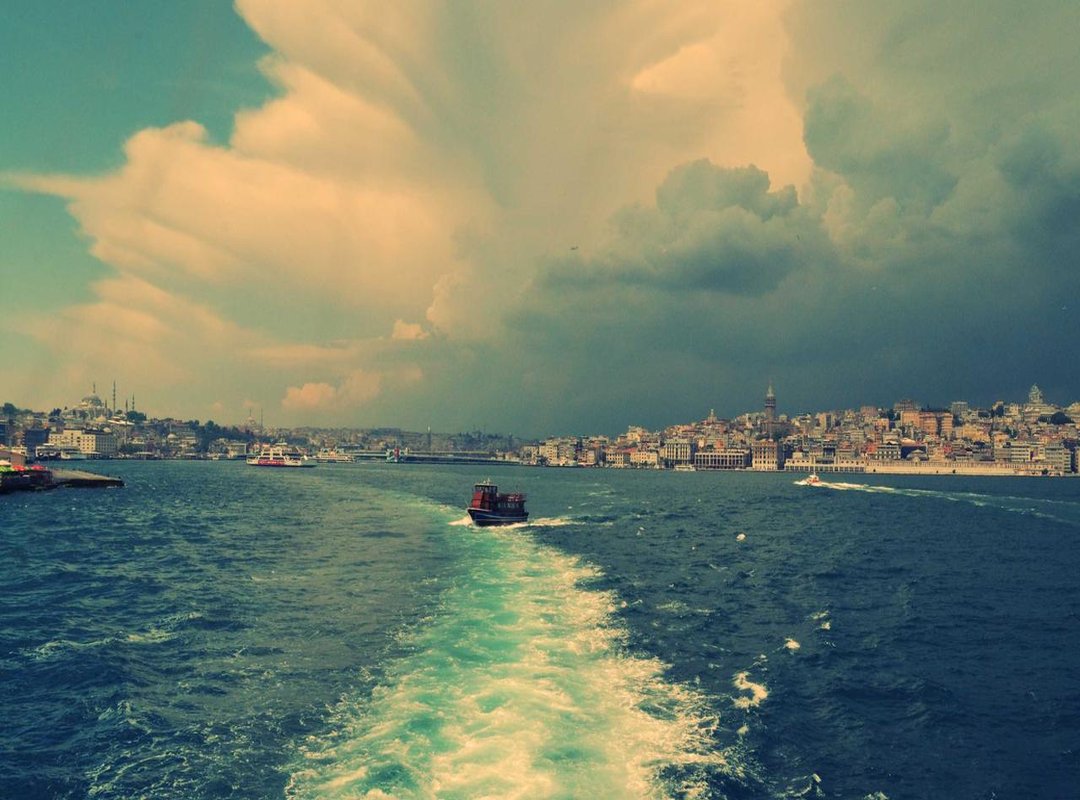 Understanding the Critical Rules: Licensing and Ethical Sourcing