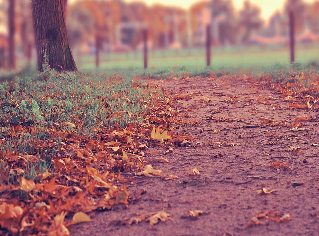 Before You Book: What to Expect from Pain, Healing, and Aftercare