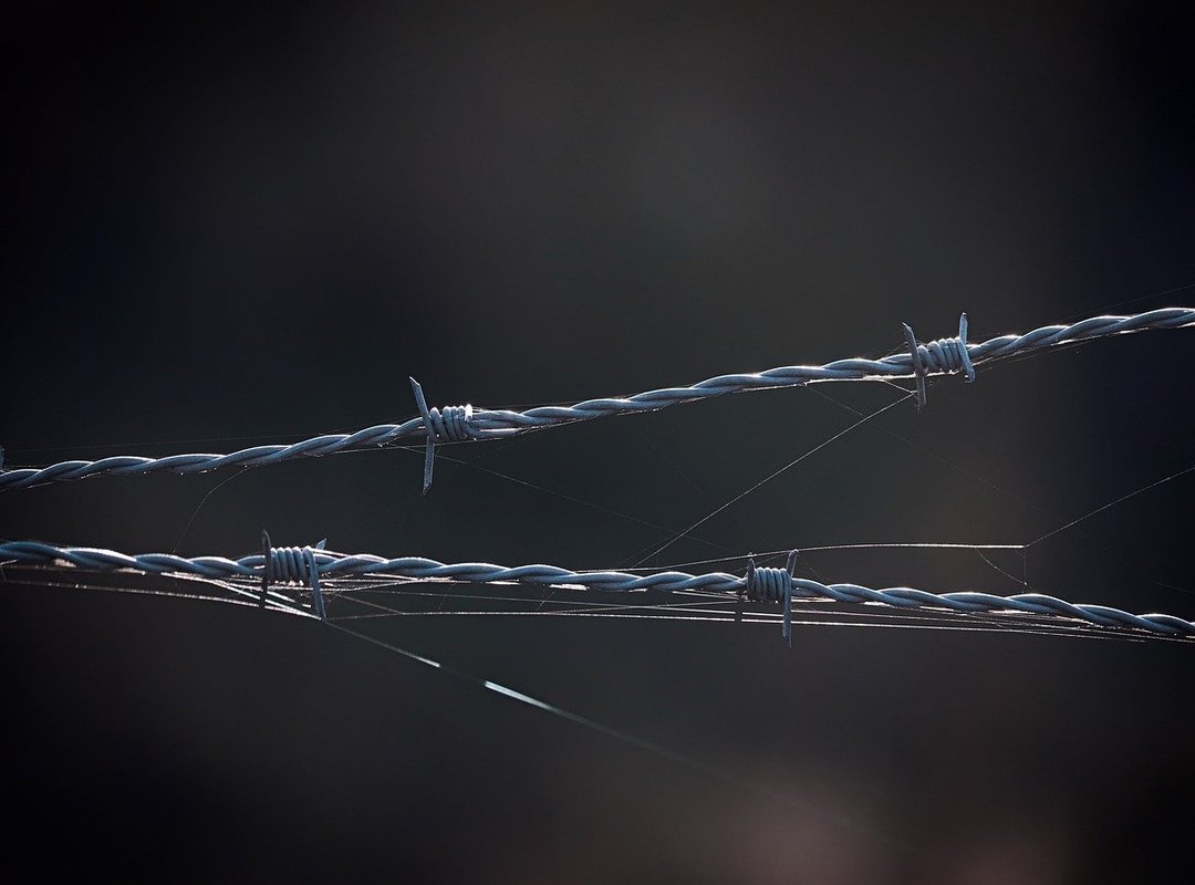 Practical Steps to Safeguard Your Digital Life