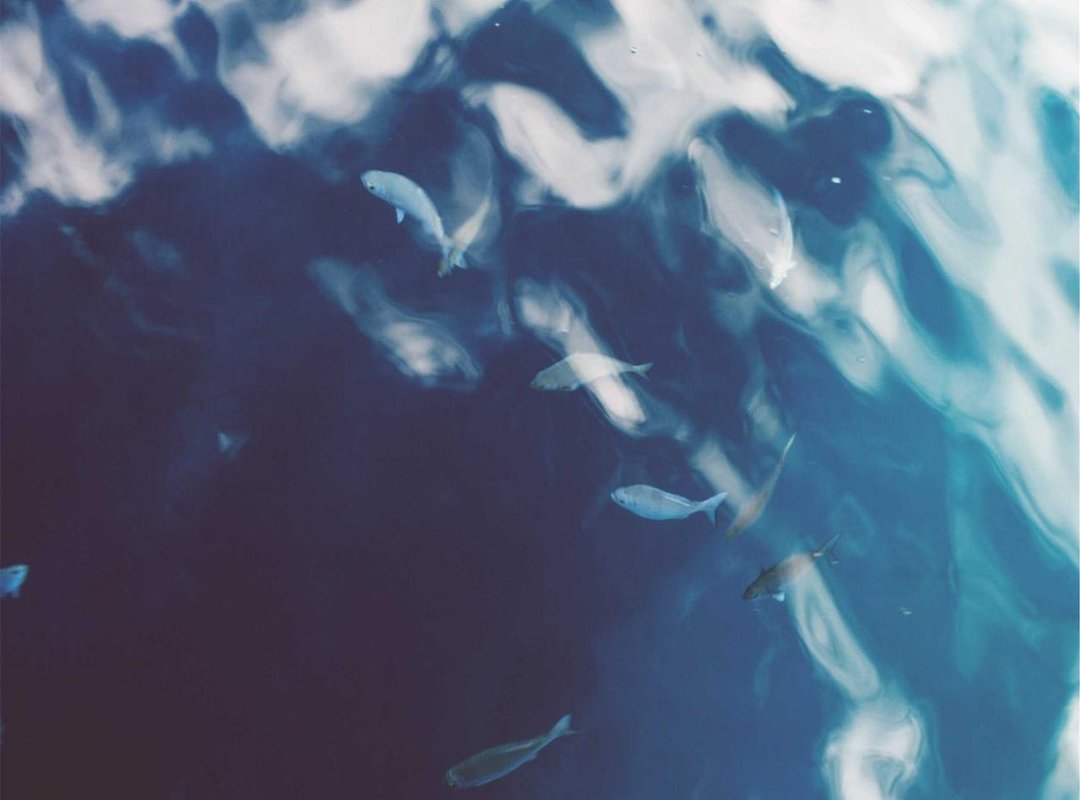 Warning Signs: 4 Red Flags of a Betting Scam