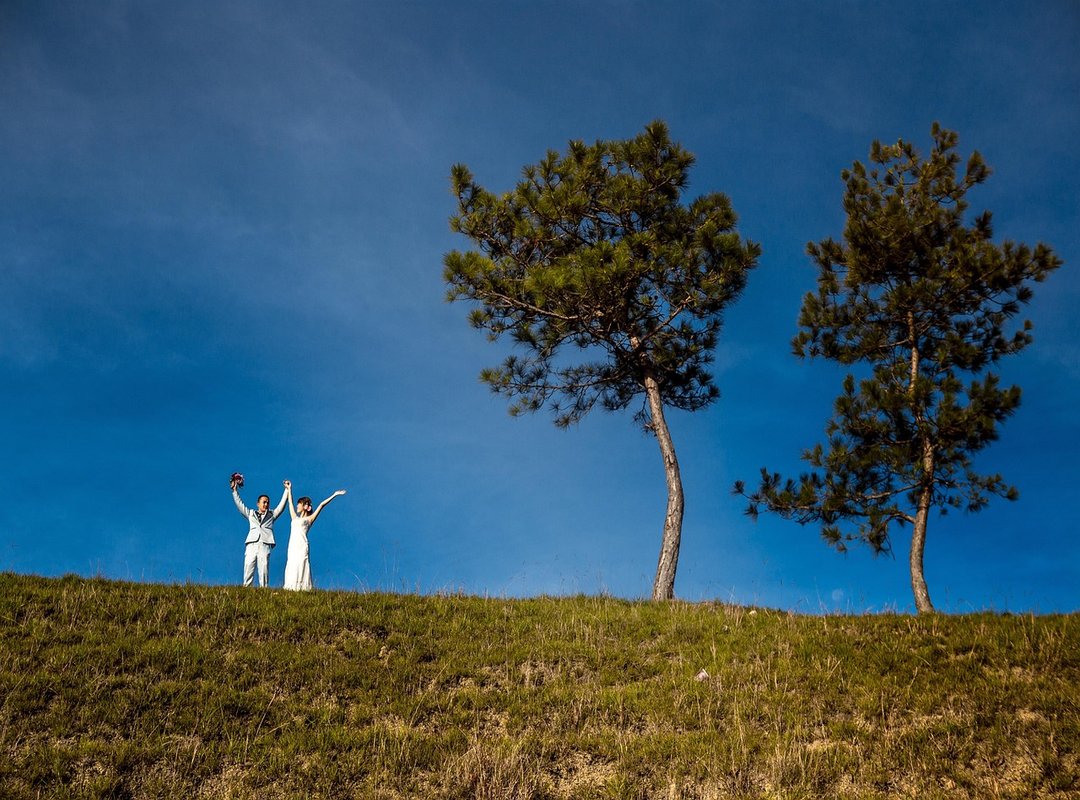 Popular Rocco Siffredi Meme Examples and What They Mean