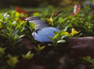 smartwatch usage tips