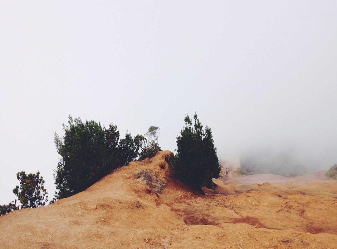 Placement, Pain, and Process: What to Really Expect