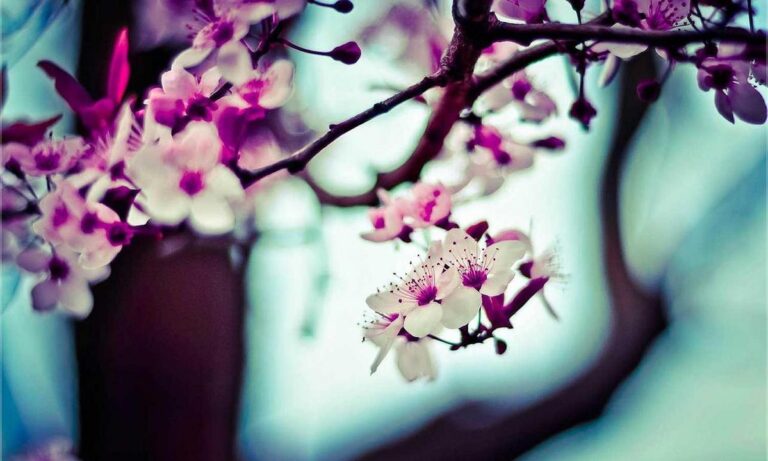 why tech is important gsctechnologik